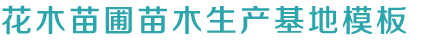 888集团app官网